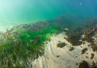 maisema 2